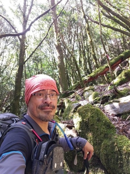 🥵20231107南一段會繞過🤷忘記的溪南山2340089