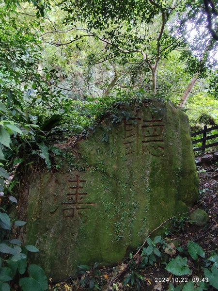 天母→猴洞→半嶺→第二展望臺→湖底步道→湖山國小步道→湖山綠地→前山公園→白雲瀑布【發現陽明山】2633848