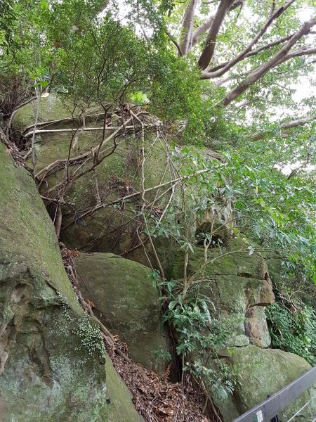 芝山岩綠生態步道178609