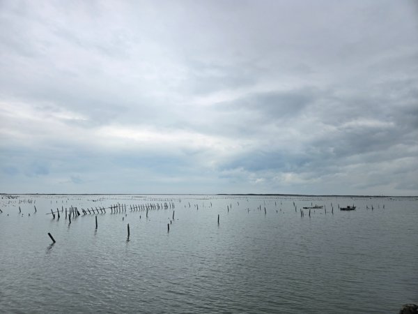 七股鹽田海堤觀夕步道3138836