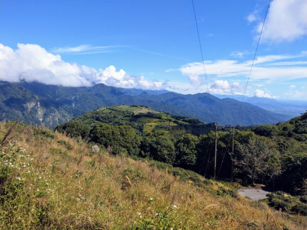 太麻里山(小百岳#94)《金針花季末期》1467620