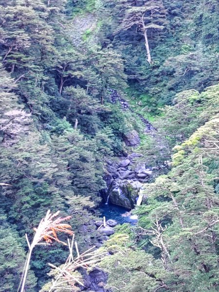 🐟合歡溪步道上 ⛰️合歡西峰✨1813468