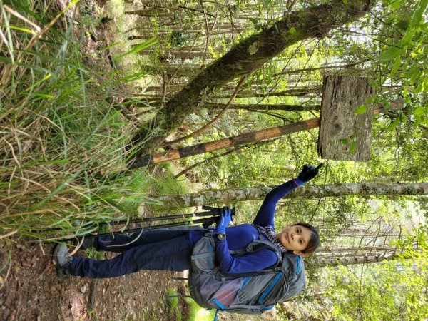 閂山鈴鳴山(百岳第46～47座)順撿茶岩山1447657