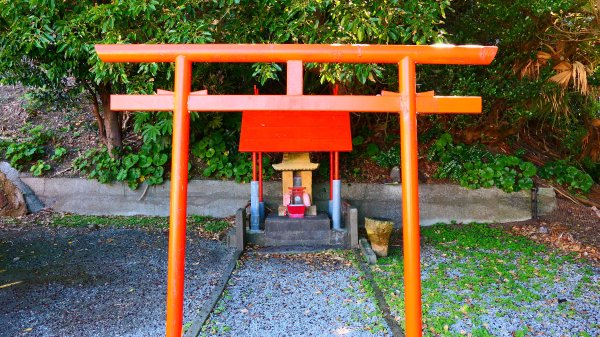 南九州－龍宮神社,長崎鼻,花卉公園,池田湖3063732
