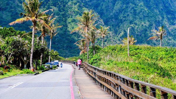 洄瀾東海岸3006691