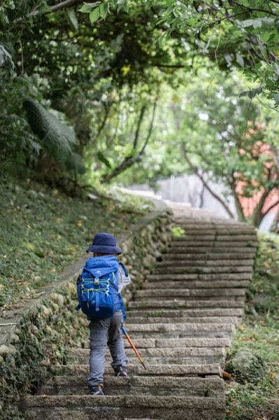 台北大縱走第一段：台北藝術大學-二子坪（緩步爬升的生態步道）1713870