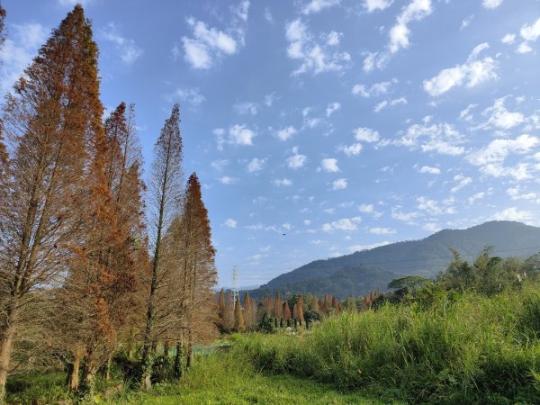 2024.01.07 橫山三叉埤、墩子銃古道2843801
