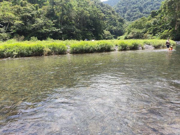 桶後林道&阿玉溪秘境3082205