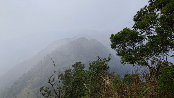 鱈葉根山2412876