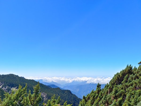 玉山主/東/南/東小南4座百岳（全程大景）1868769