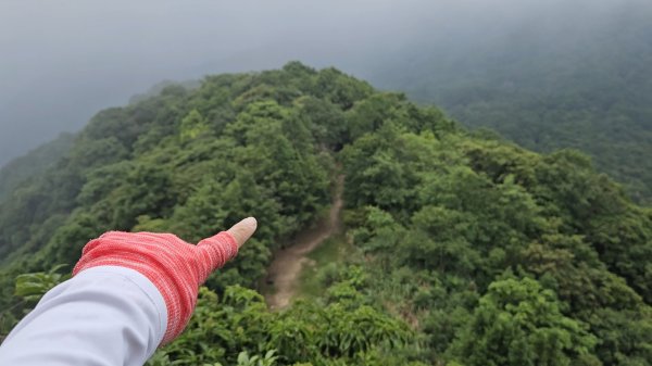 新店小百岳獅頭山+古蹟遺址O走3071933