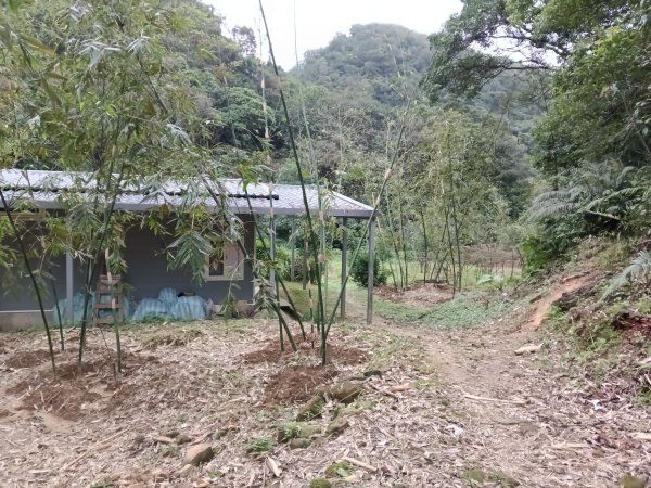 基隆市三層山+湳子大崙+淡基橫斷古道+面桶寮土地公2982285