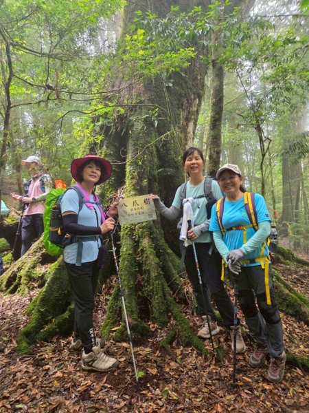 觀雪縱走~大園登山協會2828645