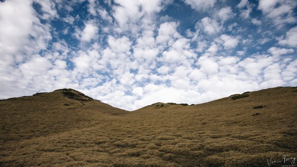 【奇萊的奇幻之旅】奇萊北峰、月形池、奇萊北壁954128