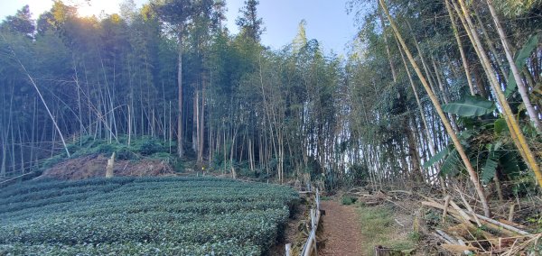 2025-01-30瑞太古道2704377