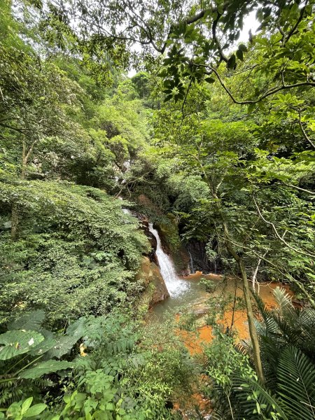 紗帽山半嶺水圳步道2650056