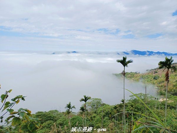 【台南。 楠西】滿滿的雲海太驚豔。 小百岳集起來。 編號67小百岳~竹子尖山步道1605911