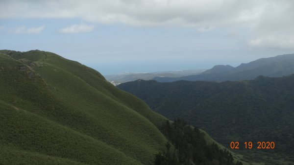 再度槓龜散步巡田水-雲山水841718