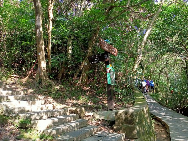 【臺北大縱走 4+5】2-1《仲春嬉遊大溝溪溪畔步道→圓覺寺步道→圓覺瀑布→碧山巖→忠勇山→劍南路》1644779