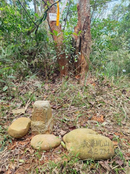 三義三通嶺-銅鑼杭菊（古道巡禮類環島小探險近25K）2957961