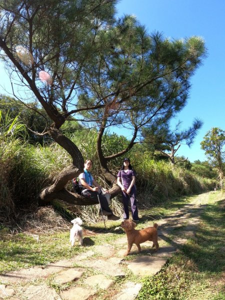 1090906家庭日，絹絲瀑布步道1093800