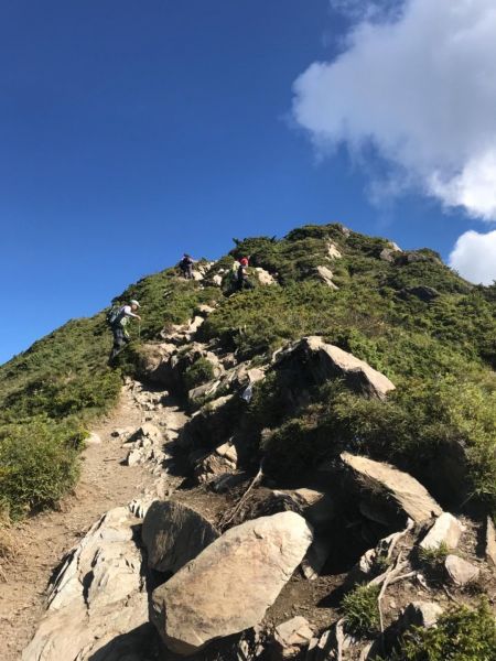 高山上的草原359313