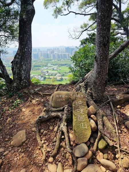 犁頭山、文山步道-2025森遊竹縣皮皮獅探險隊2890089