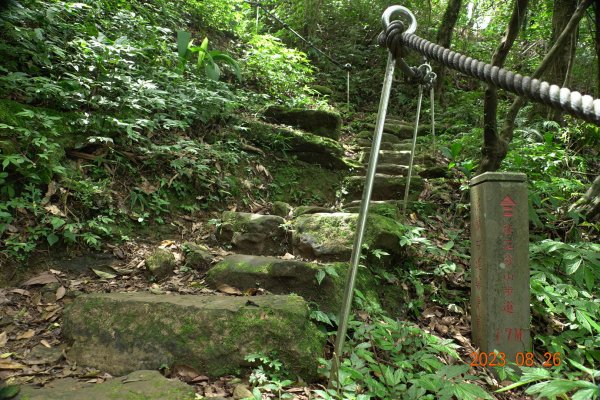 基隆 頂寮山、龍門山、五分山、頂子寮山2265967