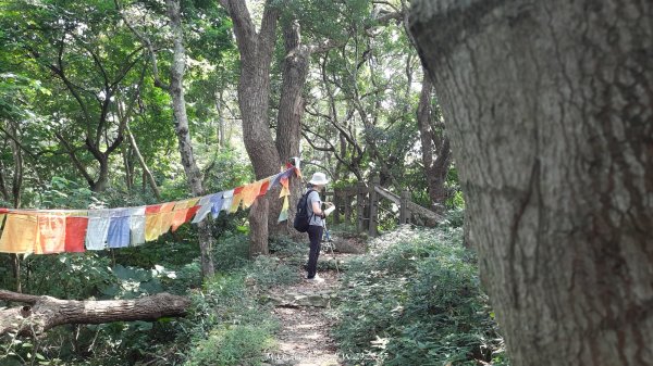 《彰化》果園古道｜廣天宮隴頂古道到鳳山寺O繞202509142884044