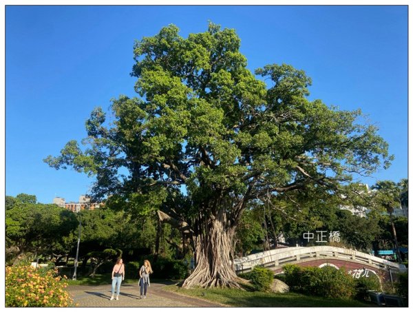 台中公園基石 (砲台山三角原點)2673279