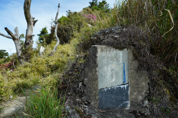 南橫三星 | 南橫公路風華再現、埡口爍爍關山嶺山1700371