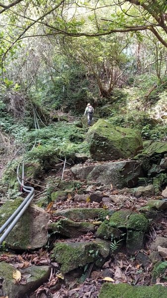 楓樹湖古道登面天北稜上面天山2782259