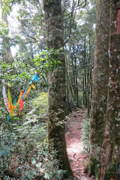 《台中》谷關七雄｜初登屋我尾山2017031412145