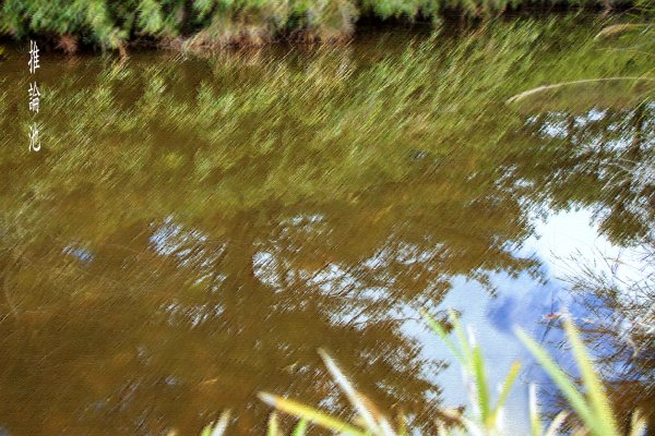 大小劍-油婆蘭全紀錄2674221