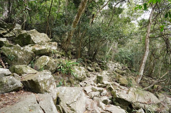 台中 和平 東卯山2674494