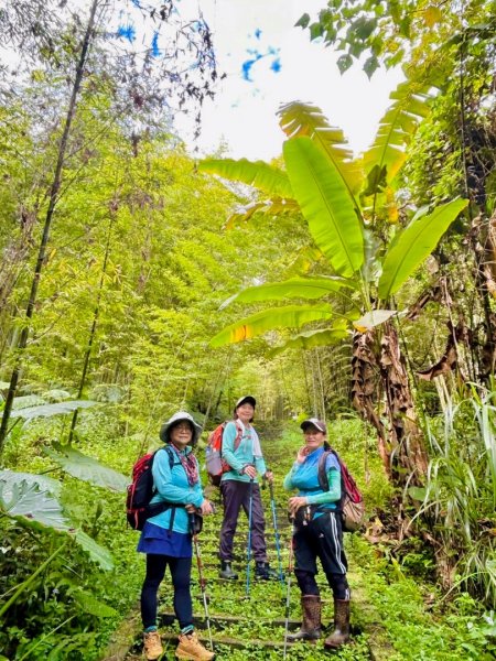 挑竹古道6號走小半天6連峰出孟宗竹林古戰場3108792