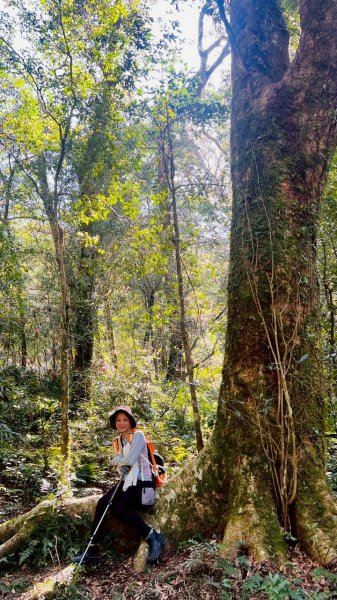 🌈3/14（六）赫威神木群+赫威山✨FB：熊熊趴爬走🌈3015373