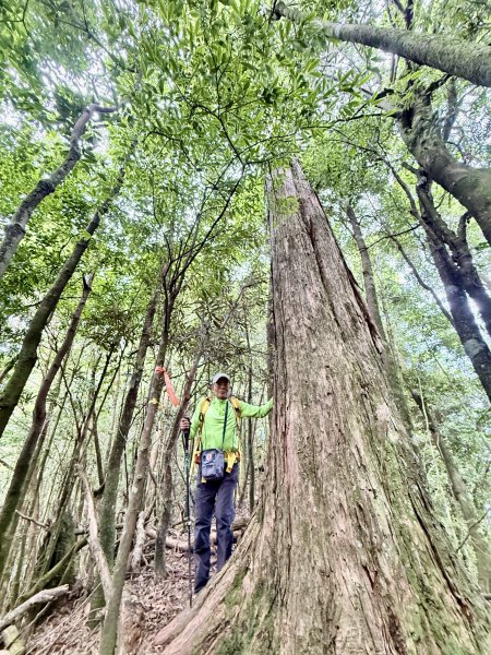 船型山神木悠遊    2025.09.222893824