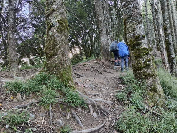 北一段(02/14)多加屯前峰2025_0906~132885104