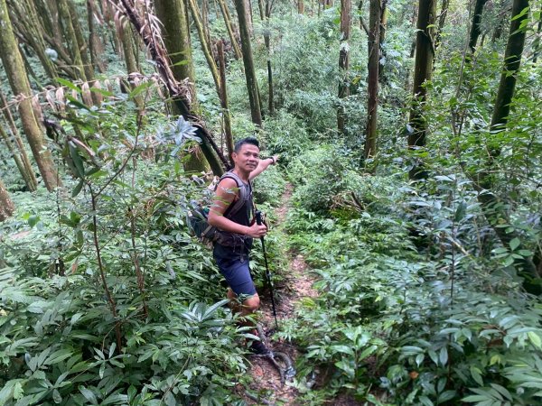 新竹橫山.大崎棟古道.騎龍古道【二個古道走向二個截然不同的方向】2868736