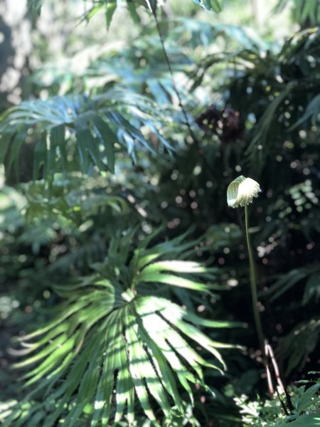 【淡蘭中路】全線連走(經泰平) | 是旅行也是修行1035261