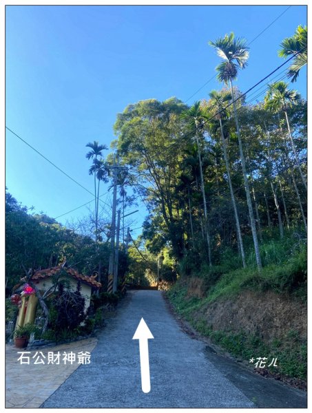 逐鹿古道、雨社山(南投、魚池)2667408