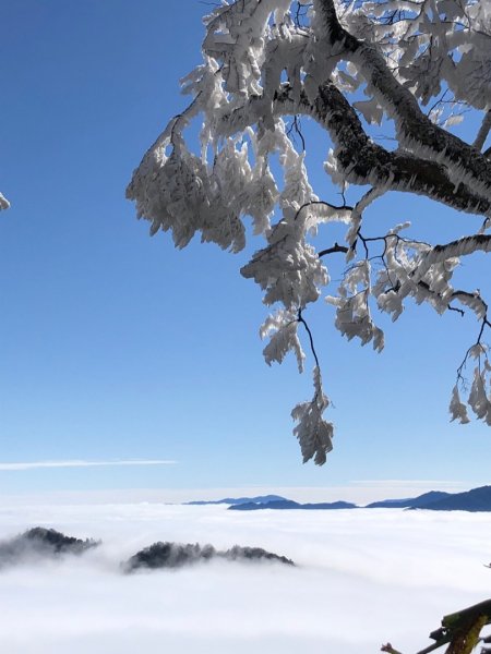 北得拉曼內鳥嘴山（雪、雲海、雲瀑）中級山第一場雪
