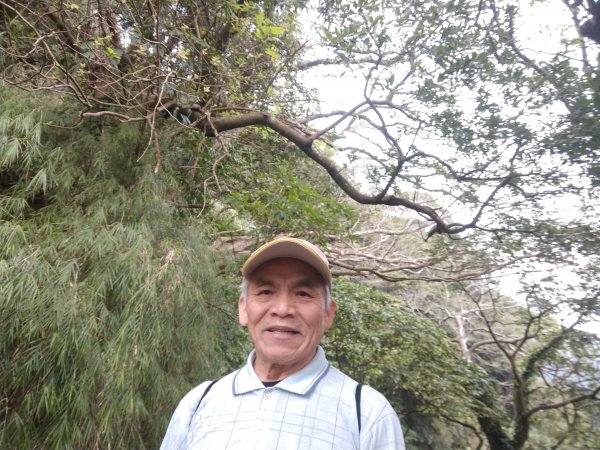 貴子坑下菁嚳步道1453740