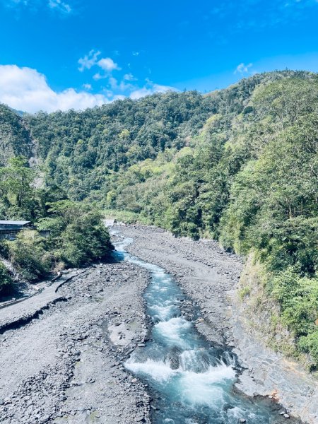 20250227 鳩之澤自然步道2736067