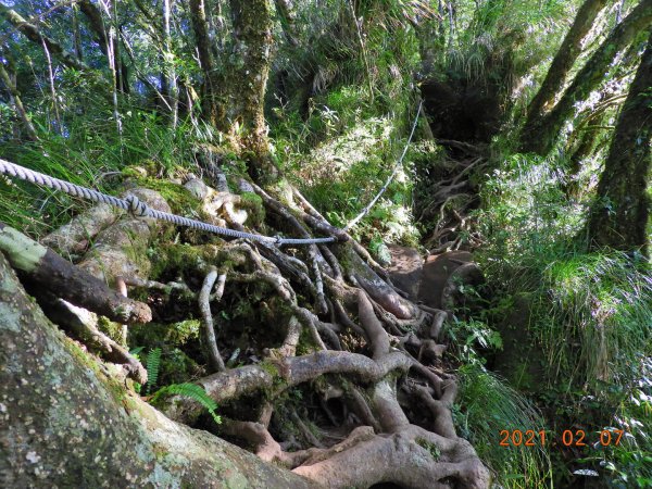 臺東 東河 都蘭山1262048