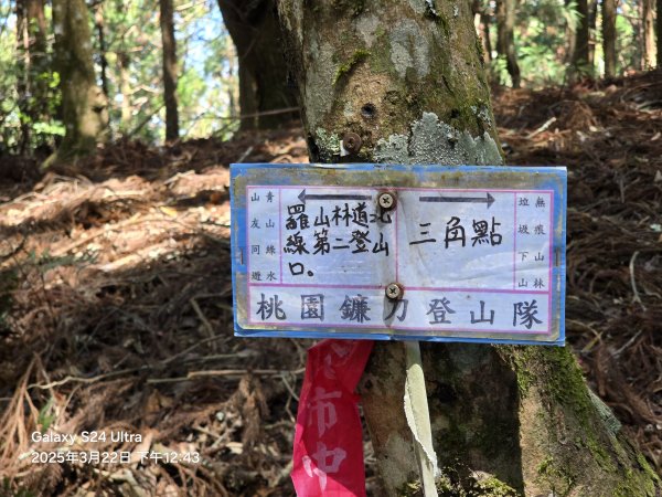 2025-03-22油羅山步道2743429