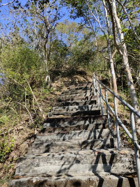 2023.12.24 旗尾山2838046