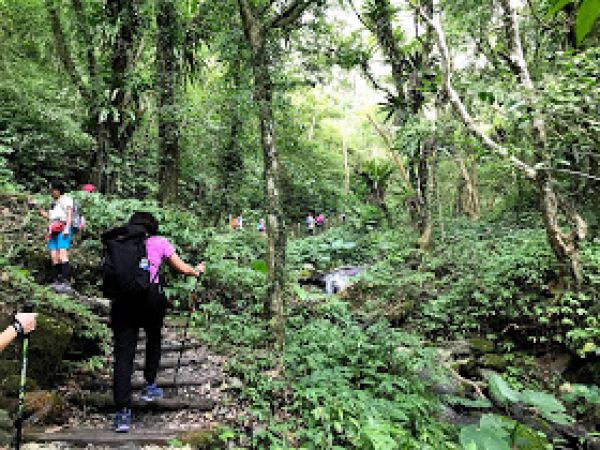 聖母山莊步道，近乎宗教式的自我追尋179854