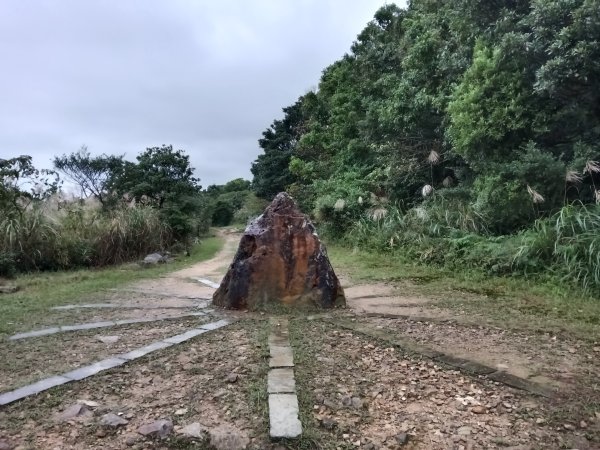 瑞芳區本山地質公園步道+草山公路+百二崁古道+樹梅坪古道O型2945507